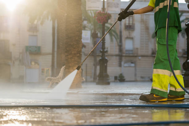 Best Driveway Pressure Washing  in Pocono Ranch Lands, PA